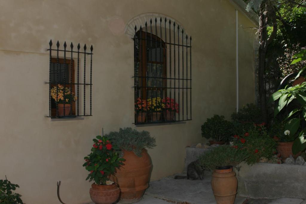 Agriturismo Il Colto San Gimignano Exterior photo