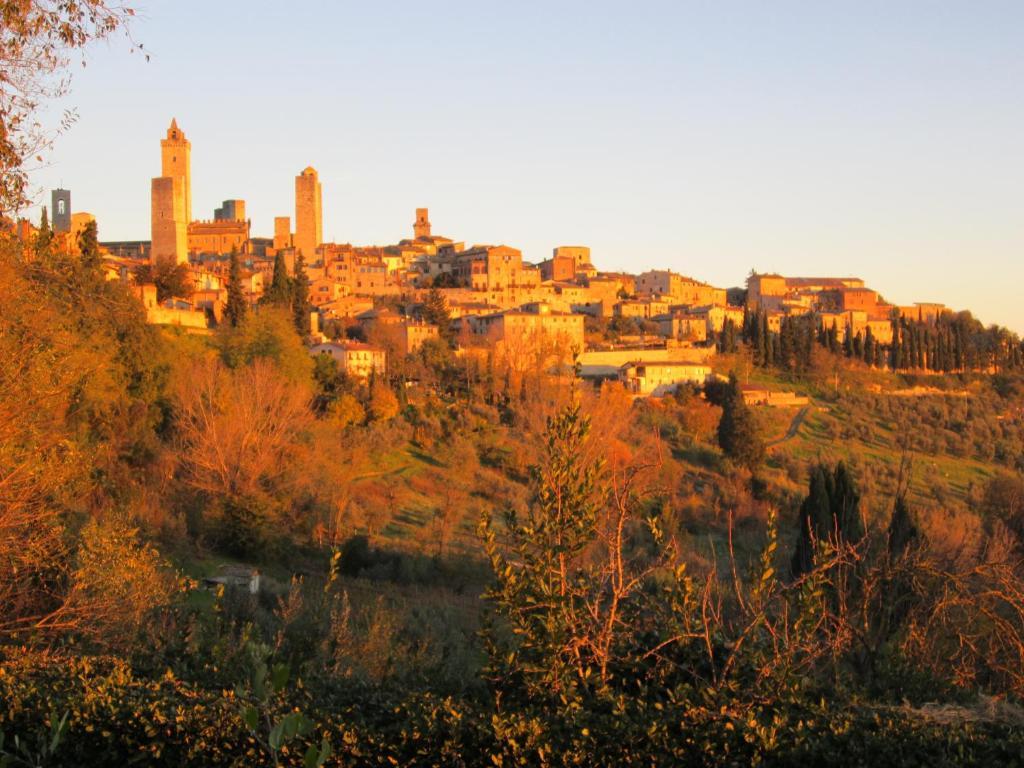 Agriturismo Il Colto San Gimignano Exterior photo