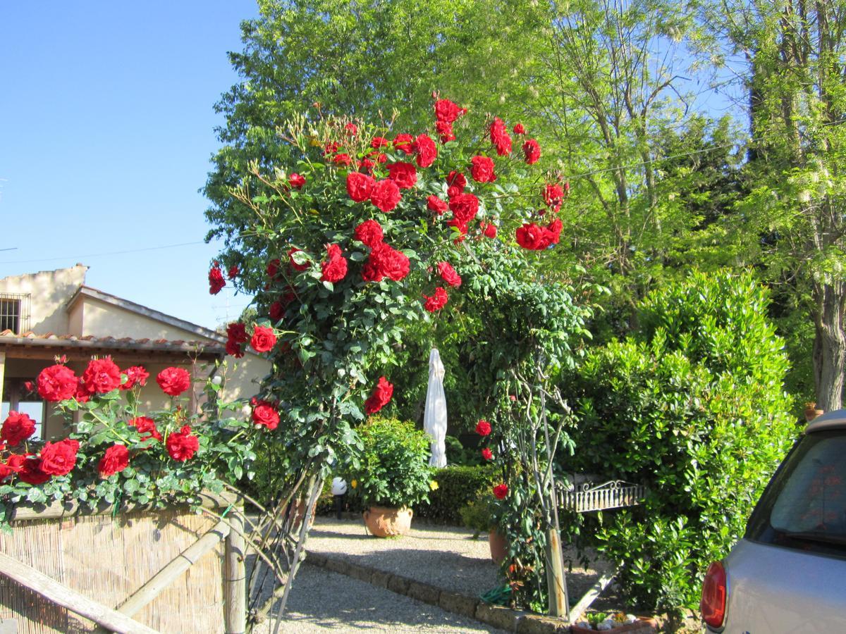 Agriturismo Il Colto San Gimignano Exterior photo
