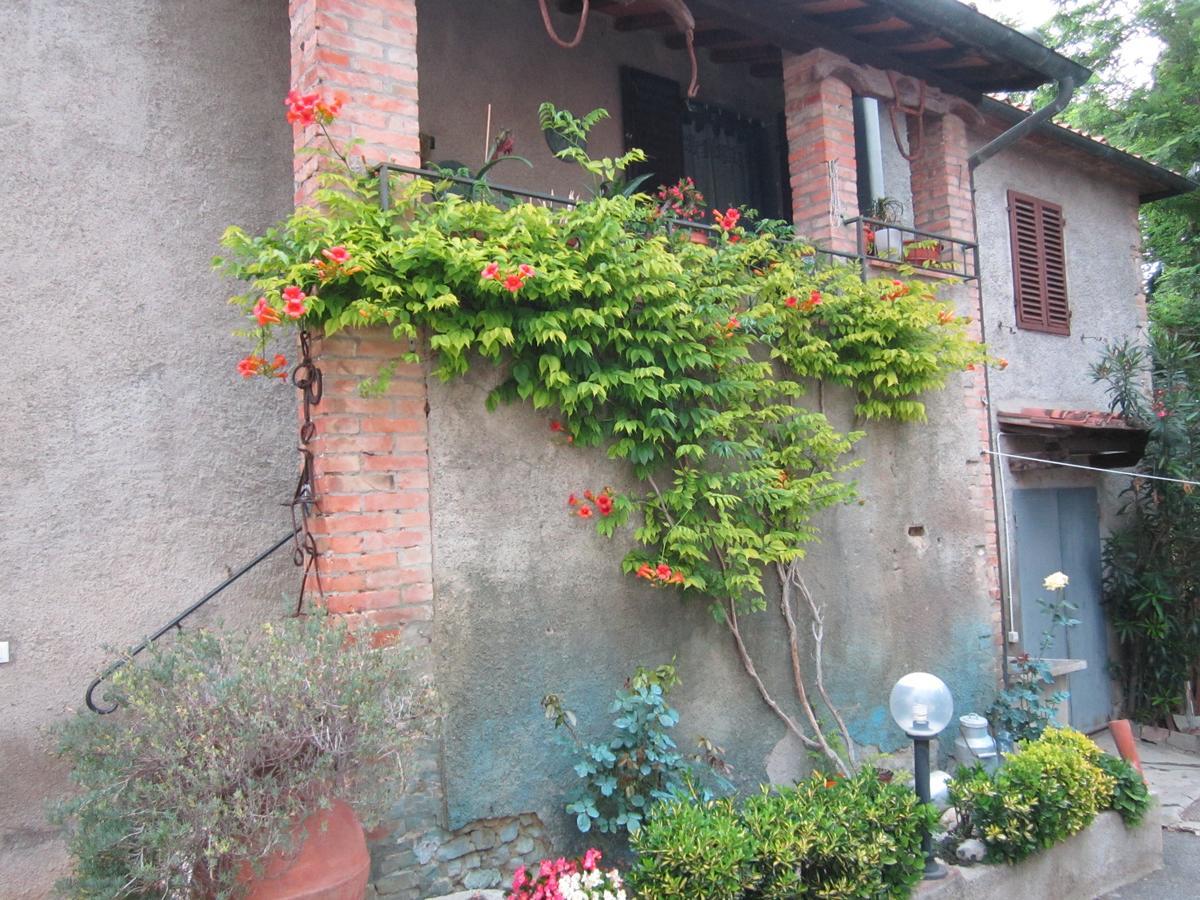 Agriturismo Il Colto San Gimignano Exterior photo